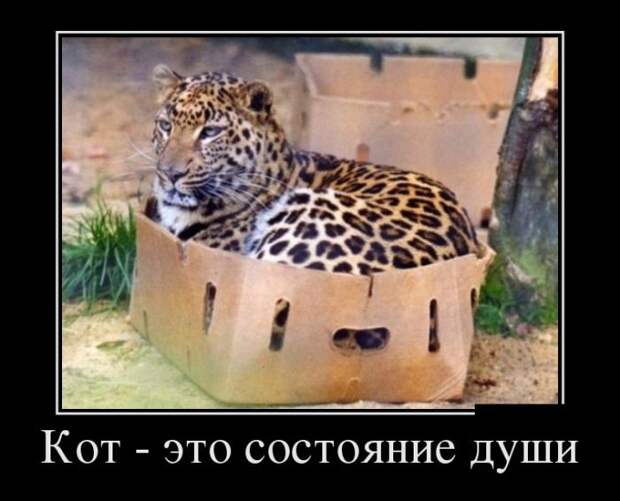 Демотиваторы (30 фото)