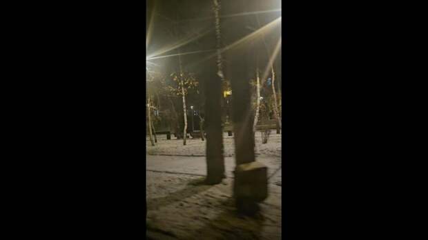 Video: TikVideo.App_7444648413368569095_hd.mp4