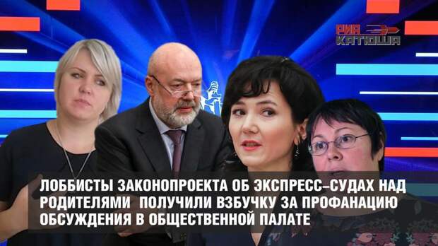 Лоббисты законопроекта об экспресс-судах над родителями получили взбучку за профанацию обсуждения в Общественной палате