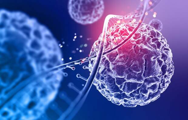 Ученые раскрыли секретный механизм маскировки рака поджелудочной железы