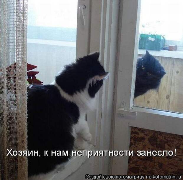 Мысли вслух :)