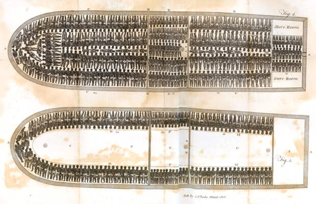 Поперечное сечение палуб невольничьего судна со схемой размещения рабов. | Фото: lostfeather.weebly.com.