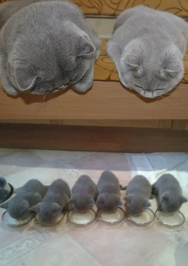 : 50      - 42 - BigPicture.ru