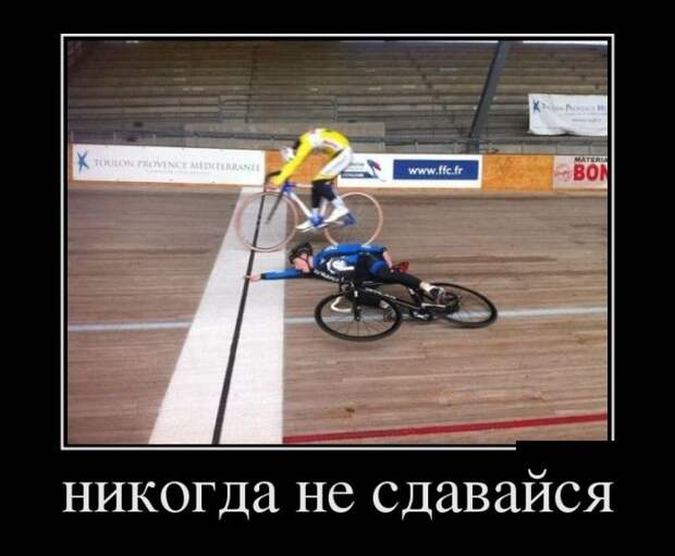 Демотиваторы