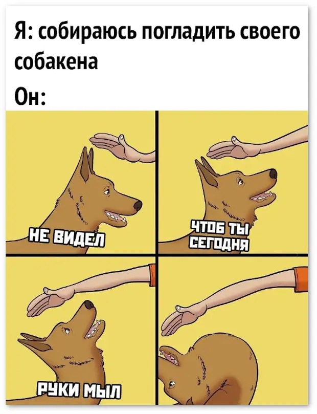 изображение: Я собираюсь погладить своего собакена. Он: Не видел, чтоб ты сегодня руки мыл. #Прикол