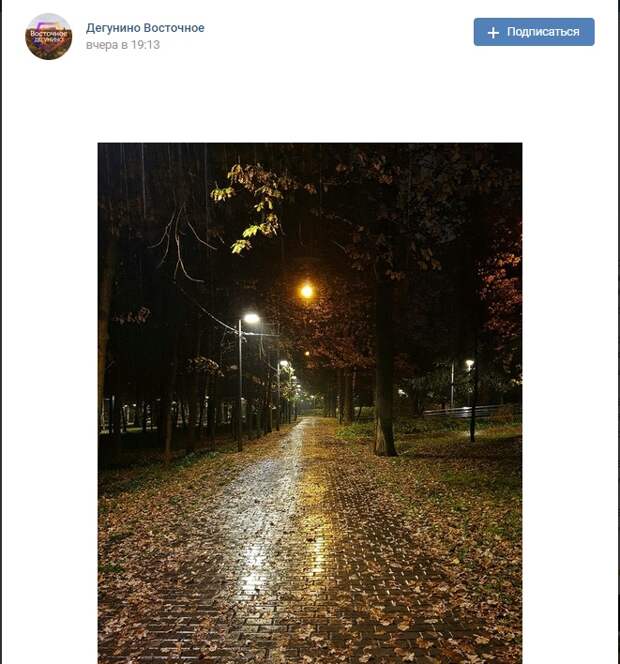 Фото дня: красота вечернего парка «Северные Дубки»