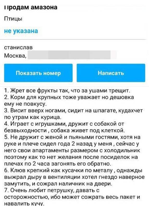 Забавное объявление о продаже попугая