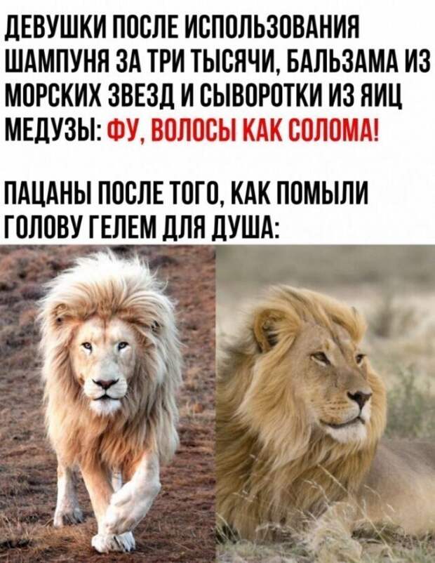 У мужиков как-то все проще У мужиков как-то все проще
