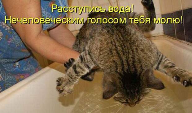 Мысли вслух :)