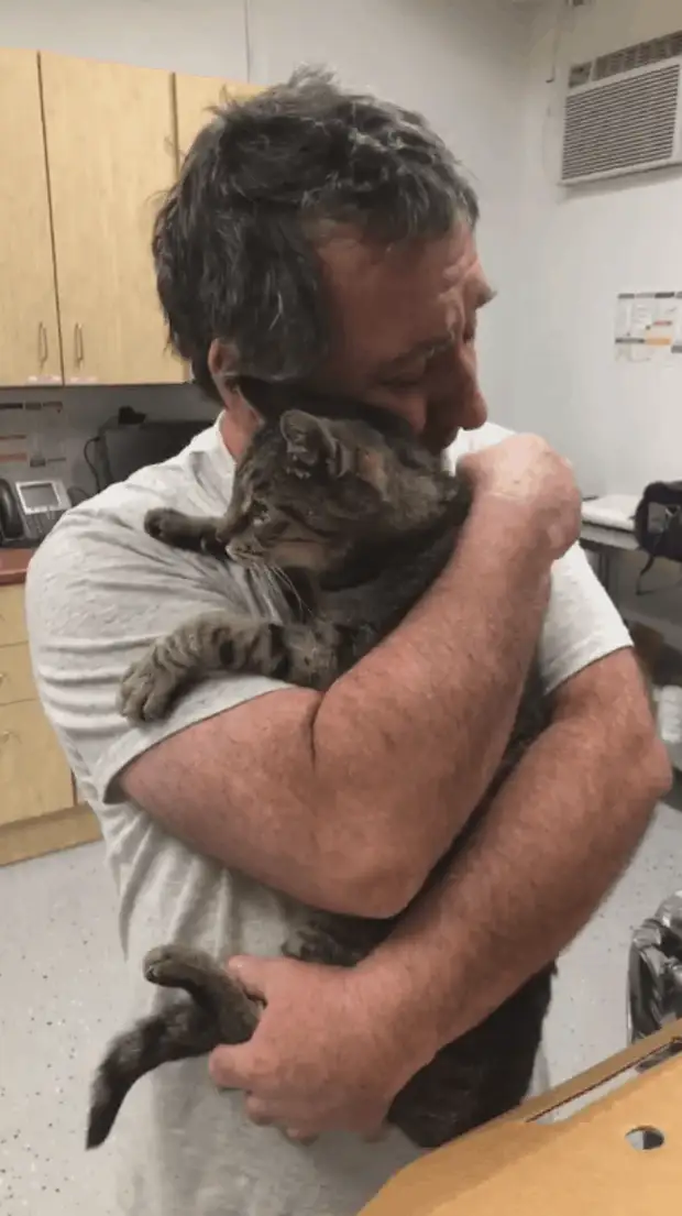 Мужчина год искал своего котика. Они встретились спустя 7 лет, и это очень трогательно
