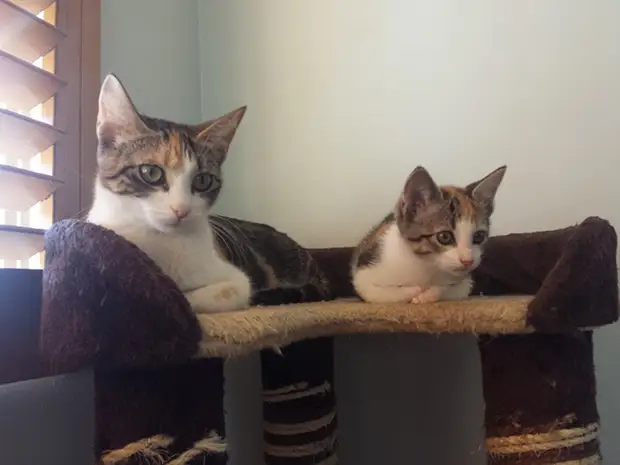 : 50      - 24 - BigPicture.ru