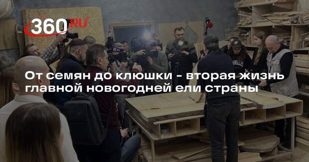 Кремлевская ель получит вторую жизнь: новогоднее дерево ждет переработка