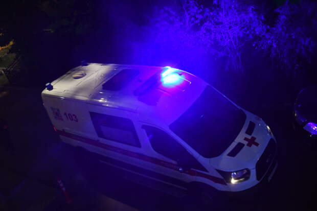 В России ребенок на санях выехал на дорогу и не выжил