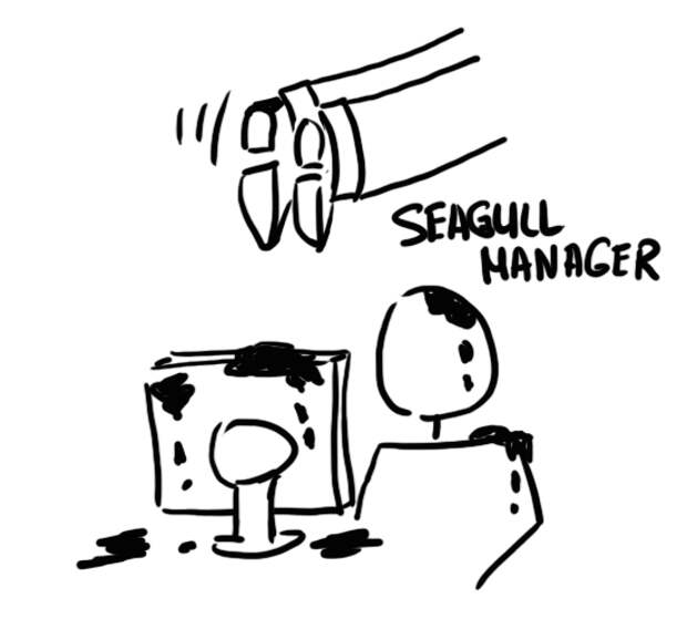 Картинки по запросу Seagull management