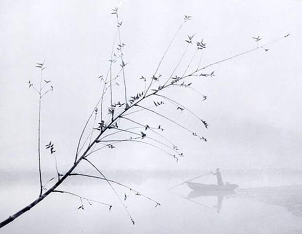 fan ho 18