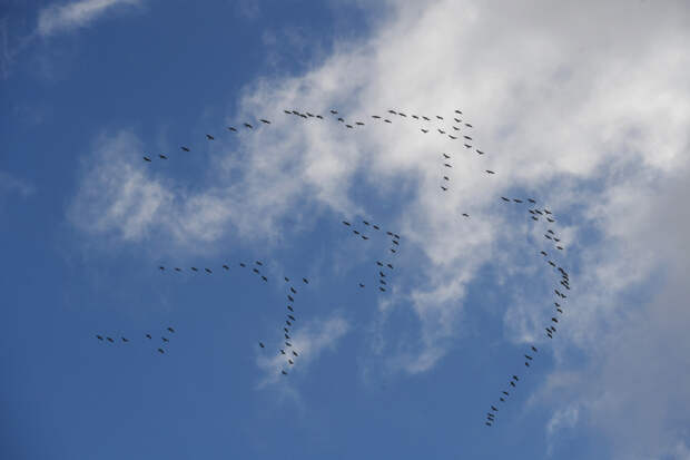 Приметы в сентябре: на погоду, на урожай, на каждый день. Народный календарь
