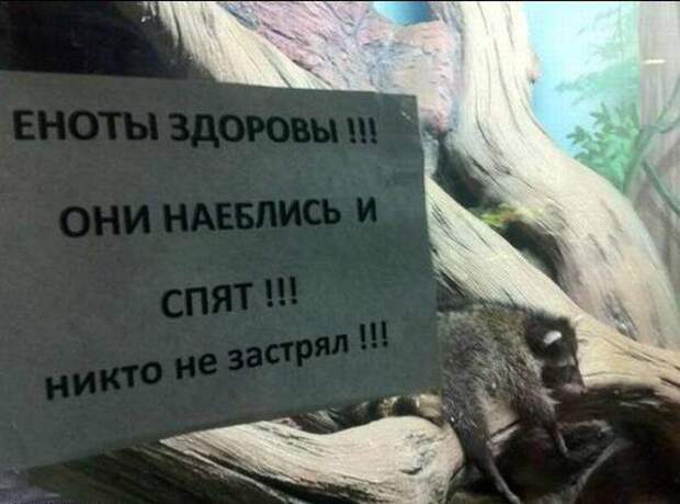 Добро пожаловать в зоопарк! Добро пожаловать в зоопарк!