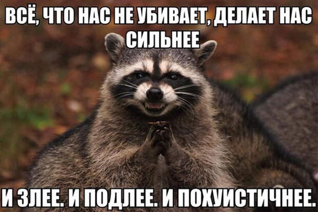 Похожее изображение