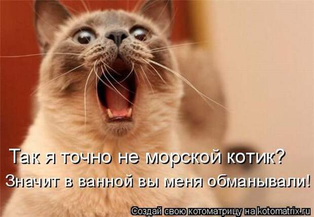 Мысли вслух :)