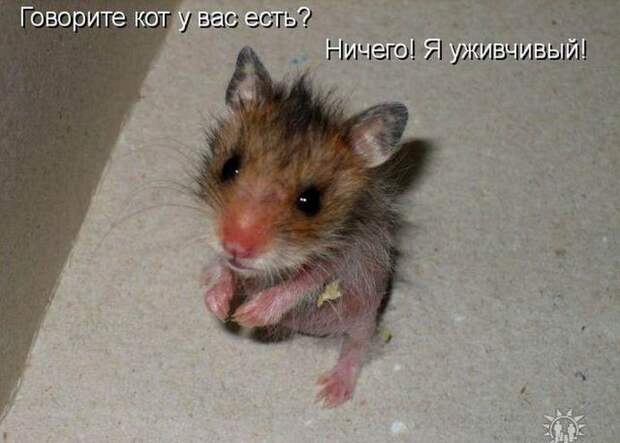 Мысли вслух :)