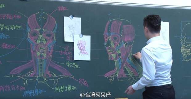 Как преподают человеческую анатомию в Китае анатомия, китай, учитель, школа