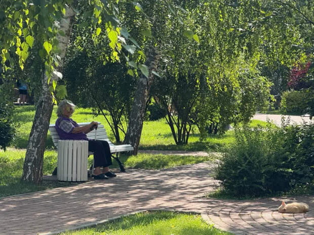 Дети уедут, друзья исчезнут: 4 вещи, которые реально спасут вас в старости