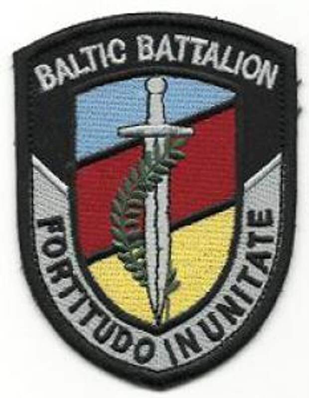 BALTBAT все. Разгром объединённой армии Прибалтики состоялся BALTBAT все. Разгром объединённой армии Прибалтики состоялся