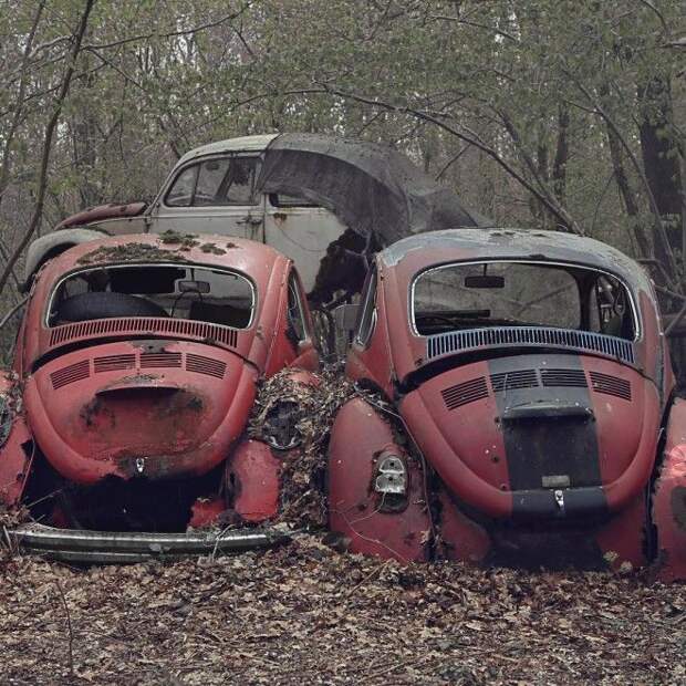 pixmafia.com интересные фото на pixmafia.com