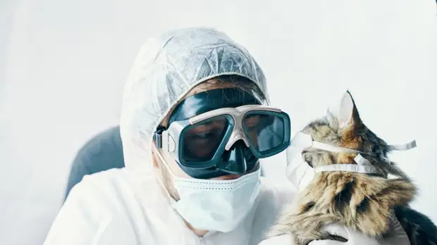 В ВОЗ призвали отслеживать случаи передачи COVID-19 между животными и людьми