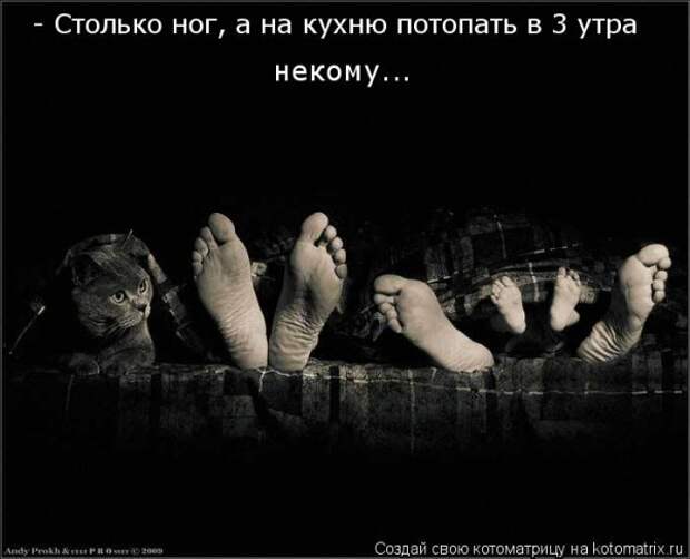 Мысли вслух :)
