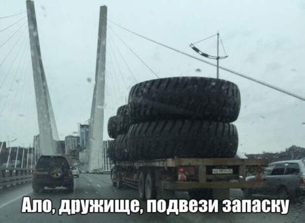 Прикольные картинки на каждый день
