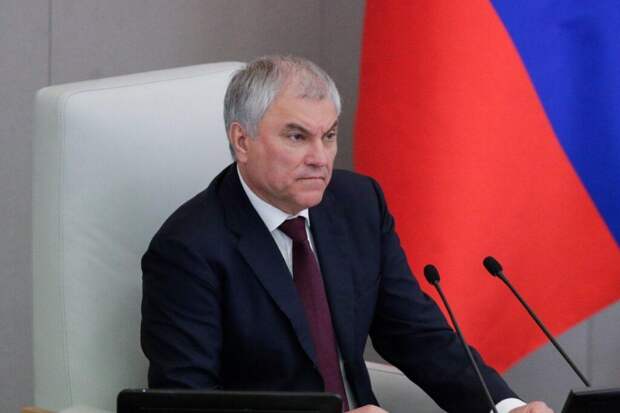 Володин сообщил, что мигрантов будут наказывать за отказ от медосвидетельствования