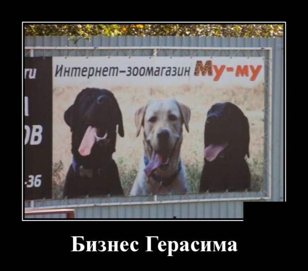 Демотиваторы (30 фото)