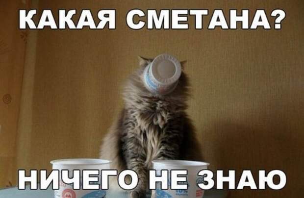 Новые фотомемы на Бугаге (22 шт)