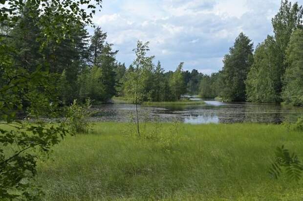 Экологи Ленобласти отмечены за вклад в развитие заповедной системы региона