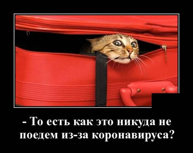 www.vsyako.net