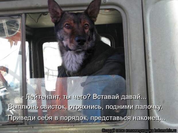 Мысли вслух :)