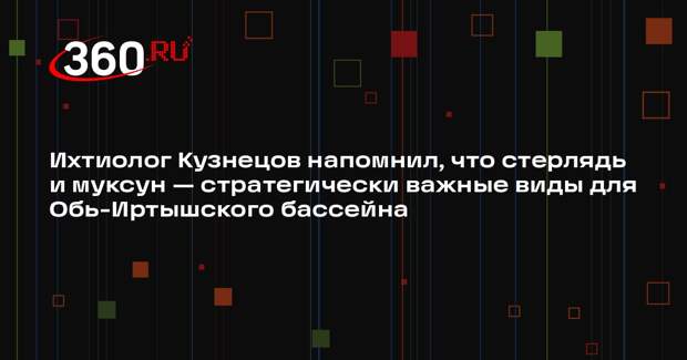 Ихтиолог Кузнецов напомнил, что стерлядь и муксун — стратегически важные виды для Обь-Иртышского бассейна