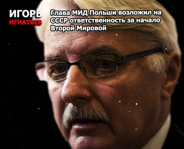 Глава МИД Польши возложил на СССР ответственность за начало Второй Мировой