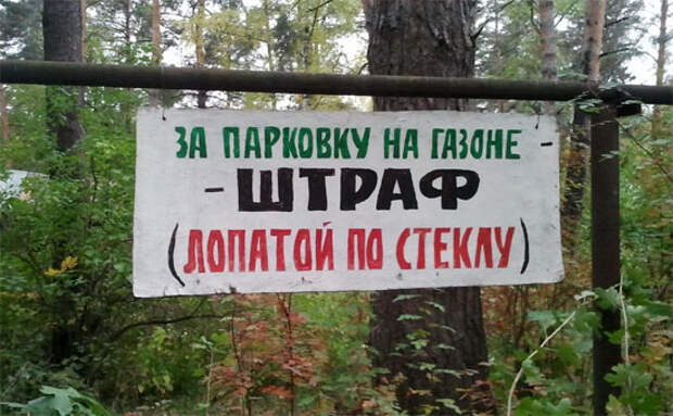 Чем грозит парковка на газоне в Санкт-Петербурге