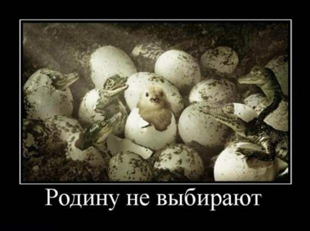 Демотиваторы смысловые.