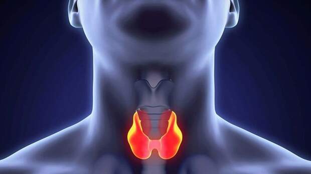 Второй подбородок может говорить о болезнях щитовидки