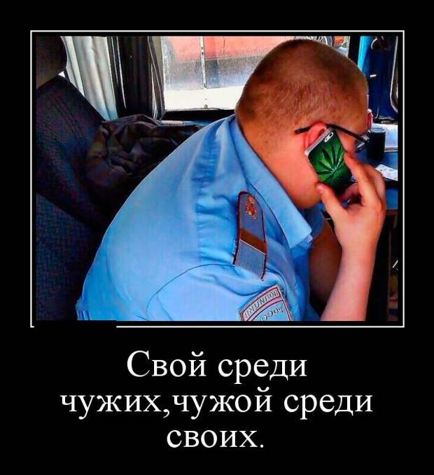 Демотиваторы (30 фото)