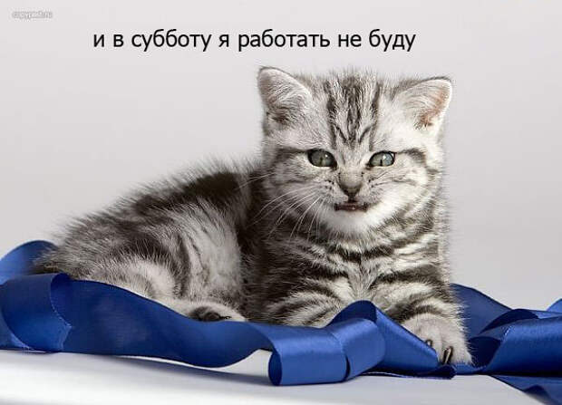 Пятница