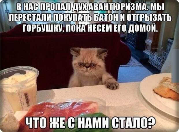 Фото, которые гарантированно поднимут вам настроение! смешно, юмор