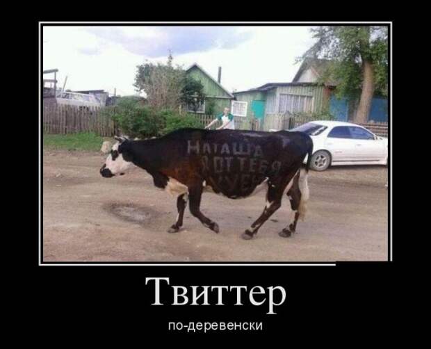 Демотиваторы демотиваторы, юмор