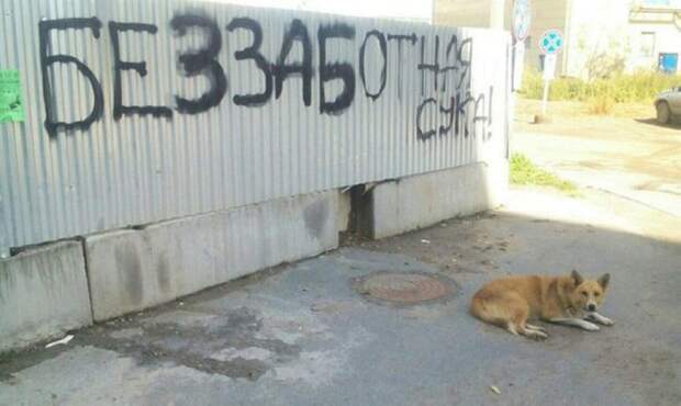 Подловили: кадры, которые заставят твой взгляд остановиться на несколько секунд Подловили: кадры, которые заставят твой взгляд остановиться на несколько секунд смешные, удачный кадр, юмор