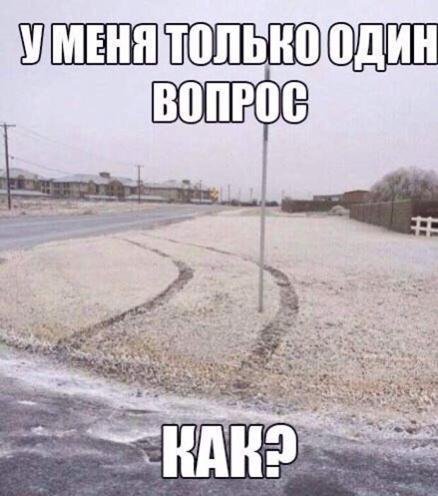 Новые автоприколы. Водительские приколы