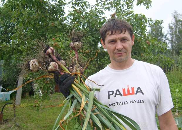 Законы плодородия в нашем саду: личный опыт