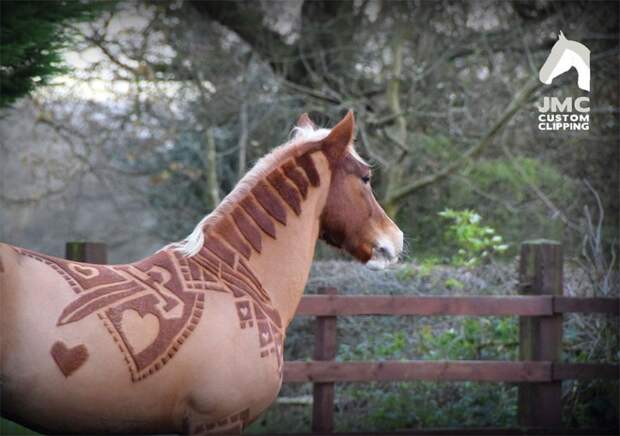 Великолепнее совершенных: лошади в орнаментах животные, лошадь